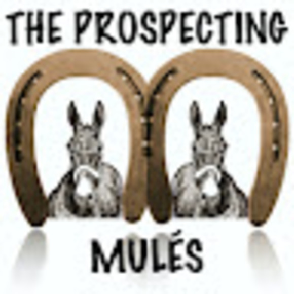 prospectingmule